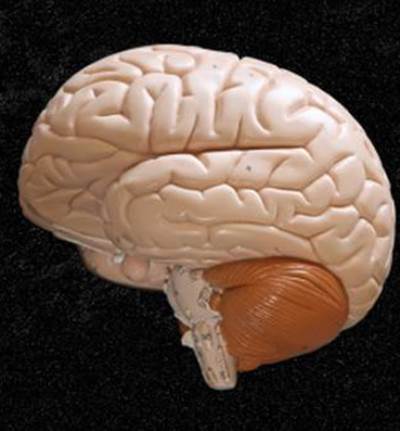 اكتشف كيف يعانى دماغك عندما تتوقف عن ممارسة الرياضة