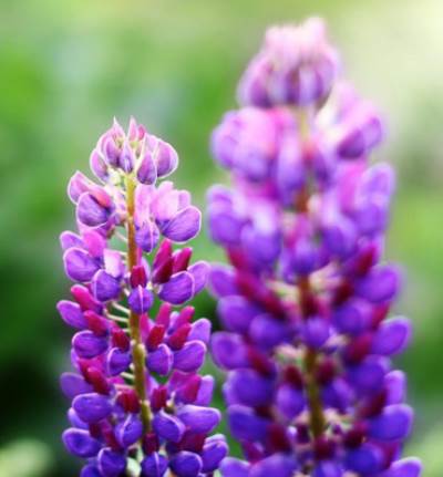 5 عطور تزيد مستوى الثقة في النفس