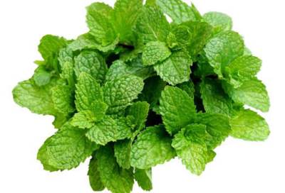 استنشق هذه الأعشاب لتخفيف الصداع النصفي بشكل فوري