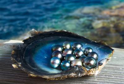 حتى لا تنخدعي اعرفي كيف تفرقين بين اللؤلؤ الطبيعي والصناعي