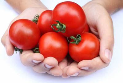 كيف غيّرت الطماطم حياة البشر حول العالم؟