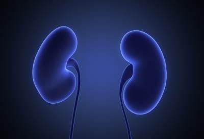 تدلي الكلية بين الأسباب والعلاج