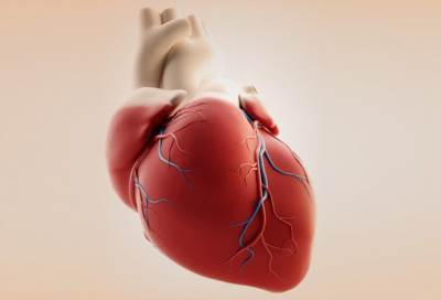 علاج ارتخاء صمام القلب