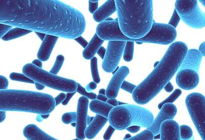 بكتيريا صديقة للإنسان .. ماذا تفعل في دماغه