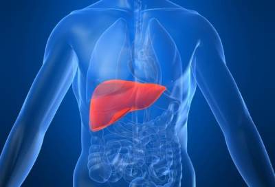  تجنّبي تناول هذه العناصر لحماية الكبد