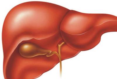 اكتشاف يمنح مرضى سرطان الكبد أملاً في الحياة
