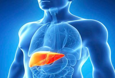 انخفاض معدلات زراعة الكبد المرتبطة بفيروس سى بشكل كبير فى أوروبا
