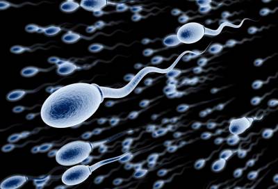 الصدمة في الطفولة قد تؤثر على جودة الحيوانات المنوية