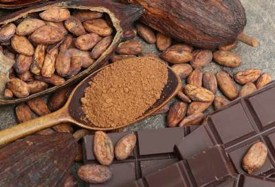 الكاكاو مصدر جديد لفيتامين يحتاجه الإنسان