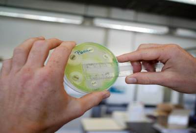 اكتشاف بكتيريا قاتلة في عملة بريطانيا