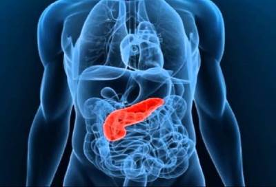 اكتشاف مركب بشجرة صينية قادر على تدمير سرطان البنكرياس