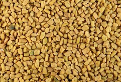 تعرفي على فوائد الحلبة وعلاقتها بالسرطان