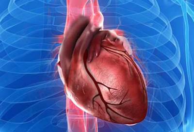 ما هو سرطان القلب ولماذا لا نسمع عنه؟