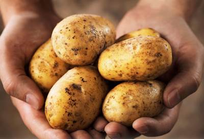 هذه الفوائد الصحية للبطاطس سوف تدهشك