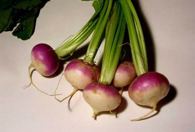 اللفت وفوائده الخاصة بك