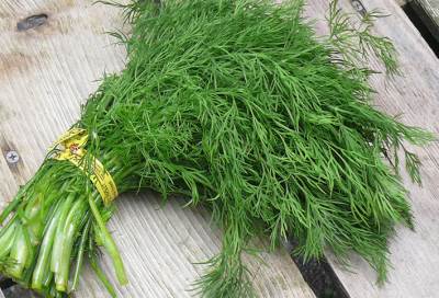 أوراق الشبت وقوة فوائدها الصحية