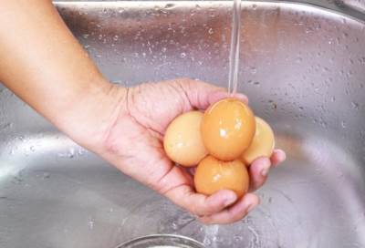 لماذا لايجب غسل البيض قبل سلقه؟