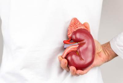 الأطفال البدناء أكثر عرضة للإصابة بسرطان الكلى خلال مرحلة البلوغ 