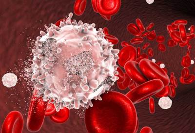 الخلايا الليمفاوية تتصدى للبكتيريا والفيروسات 