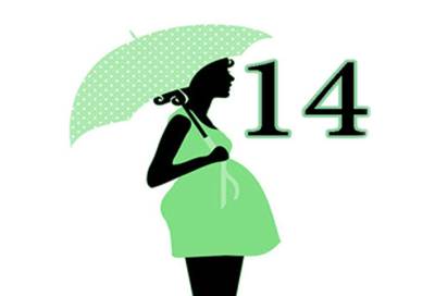 تطورات الحمل فى الأسبوع الرابع عشر