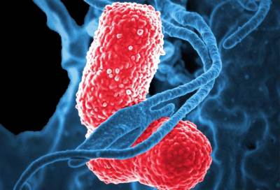  "FDA" توافق على عقار لالتهاب الرئة الجرثومى المكتسب من المستشفيات 