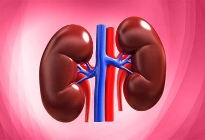 أمراض الكلى وعلاجها