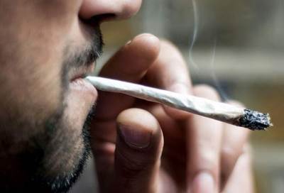 اكتشاف مركب فى فول الصويا يمنع تلف الأوعية الدموية الناجم عن تعاطى الحشيش