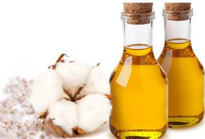 زيت القطن يعزز صحة القلب والأوعية الدموية