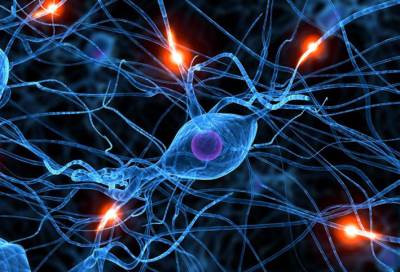 علاج الخلايا الجذعية قد يعكس الضرر بنوبة قلبية