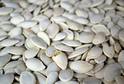 جمعية القلب الأمريكية : اللب الأبيض يخفض ضغط الدم