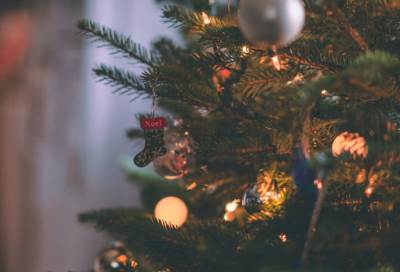 هل خطر ببالك يوما ما هي حكاية "شجرة الكريسماس" .. وما علاقتها بالفراعنة؟