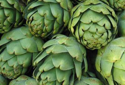 فوائد الخرشوف على صحة الجسم والبشرة .. تعرفى عليها