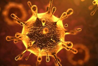 هل يوجد علاقة بين الحيوانات الأليفة بالمنزل وانتشارعدوى فيروس كورونا؟