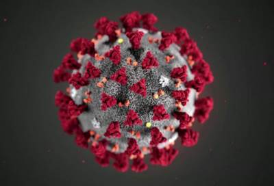 منصات إلكترونية وطائرات بدون طيار لمقاومة كورونا بين سكان القرى الصينية