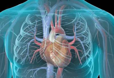 %40 من مرضى فيروس كورونا يعاونون من أمراض القلب .. تعرفي على التفاصيل