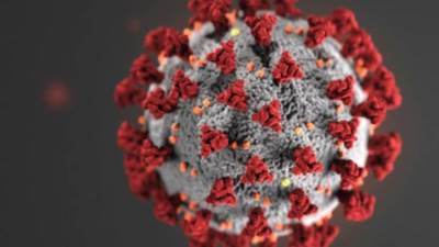 "كورونا" تطيح بوزيري صحة خلال شهر .. إليكِ التفاصيل