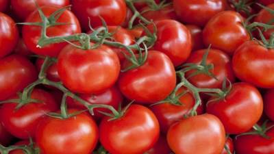 تناولي الطماطم لحماية بشرتك من أضرار أشعة الشمس