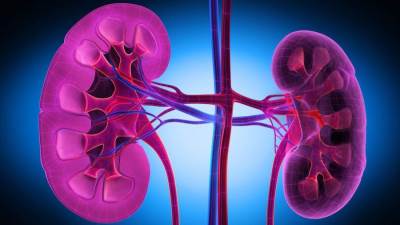 عززي صحة كليتيك عن طريق تجنب هذه الأخطاء الشائعة في نمط الحياة