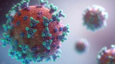 خبر سار .. اكتشاف أجسام مضادة قد تحمى من COVID-19