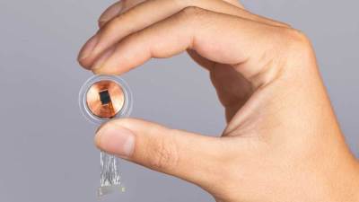 شركة عالمية تزرع شريحة كمبيوتر في دماغ خنزير .. لهذا السبب!