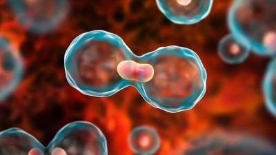 هل يمكن اكتشاف السرطان قبل سنوات من ظهور الأعراض؟