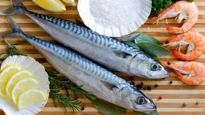 دراسة: الأسماك قد تحمل فيروس كورونا