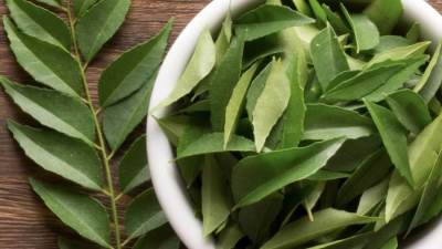 من تعزيز المناعة إلى مكافحة حب الشباب.. يمكن أن يفعل النيم المعجزات