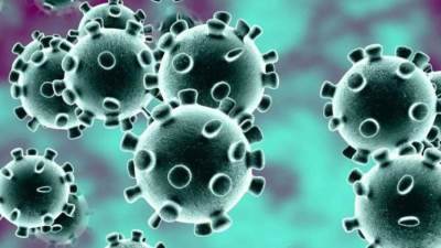 تطوير علاج جديد للكورونا من دم الأحصنة .. إليكِ التفاصيل