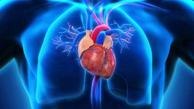 كيف يؤثر فيروس كورونا على القلب