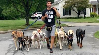 إنتبه .. التنزه مع الكلاب يعرضك للإصابة بفيروس كورونا