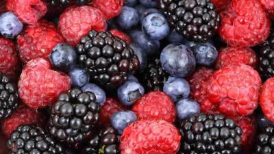 فوائد التوت الصحية ستذهلك