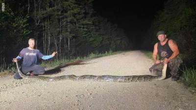 ثعابين بالفلفل الحار.. هذا البلد يخطط لضمها إلى قوائم الطعام