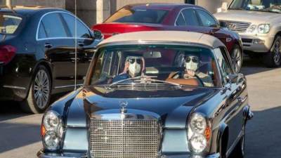 تركي أل شيخ يستعرض سيارته موديل 71 في افتتاح روتانا