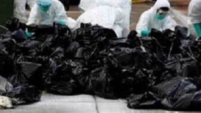 هل عادت أنفلونزا الطيور للصين؟